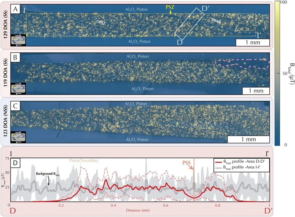 QDM maps of SS samples