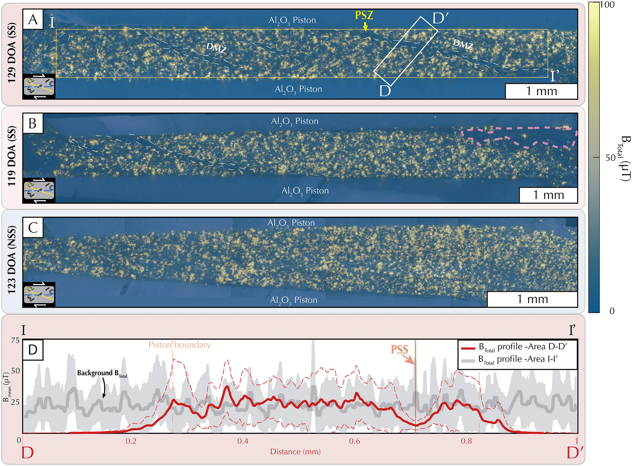 QDM maps of SS samples