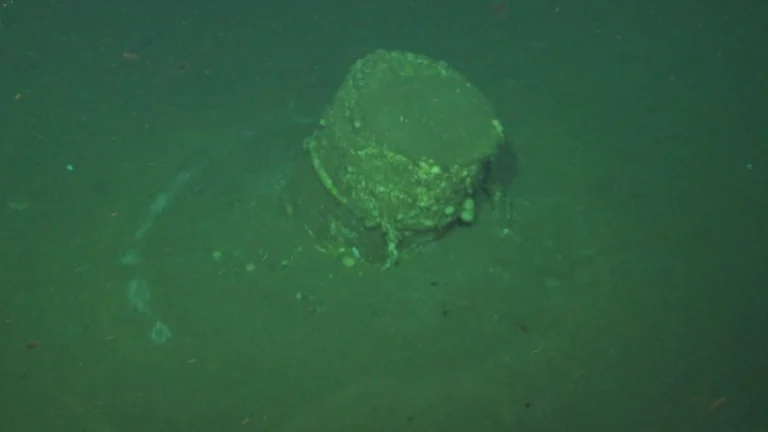 Scientist uncover the mystery of toxic halo barrels off the Los Angeles coast