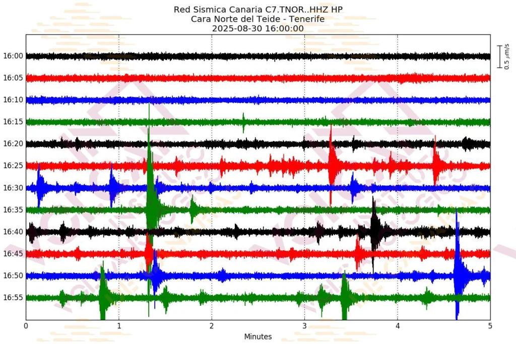 Seismic graph for Teide on August 30, 2025. Credit: INVOLCAN