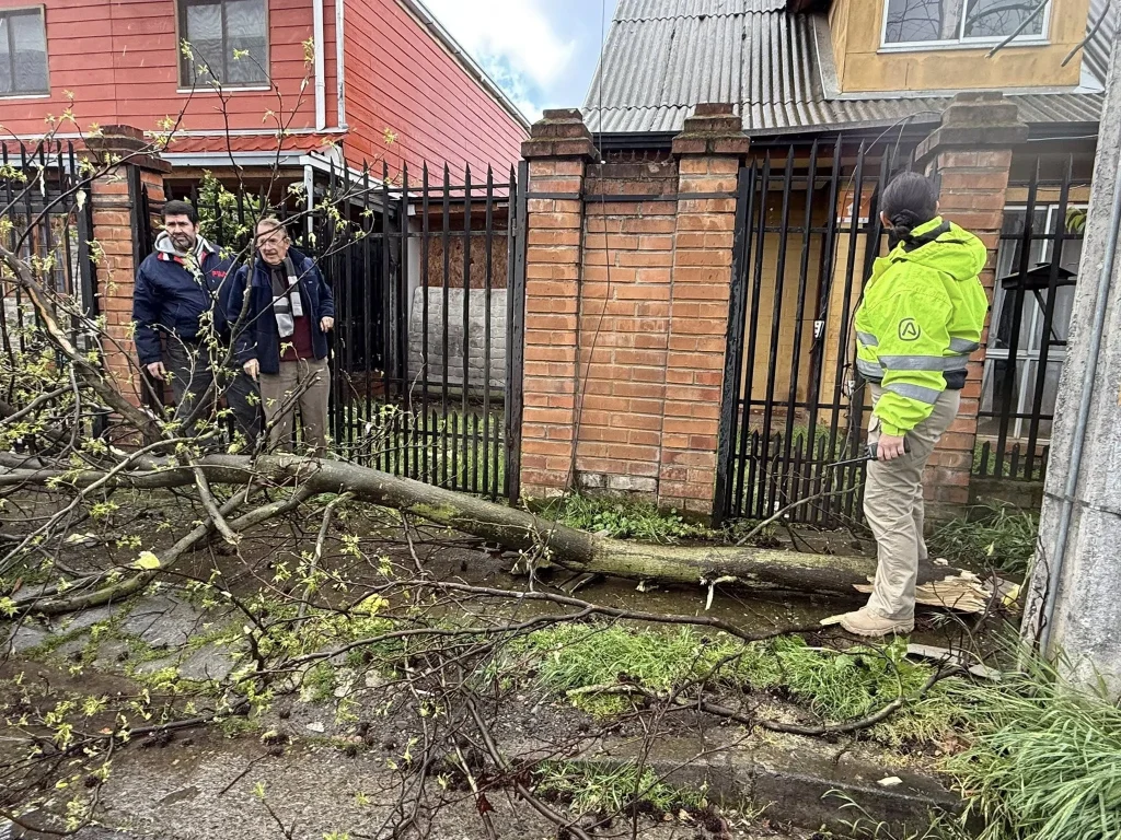 Tornado damage in Linares, Chile on September 20, 2025. Credit: Linares Municipalidad.