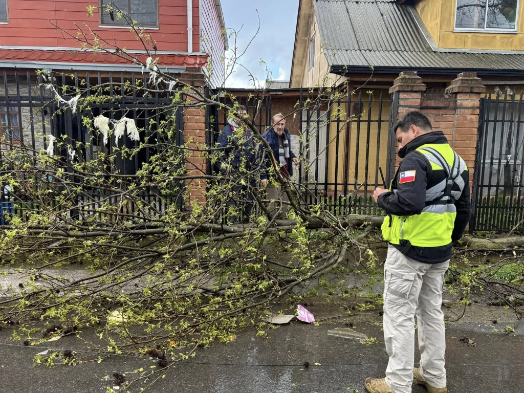 Tornado damage in Linares, Chile on September 20, 2025. Credit: Linares Municipalidad.