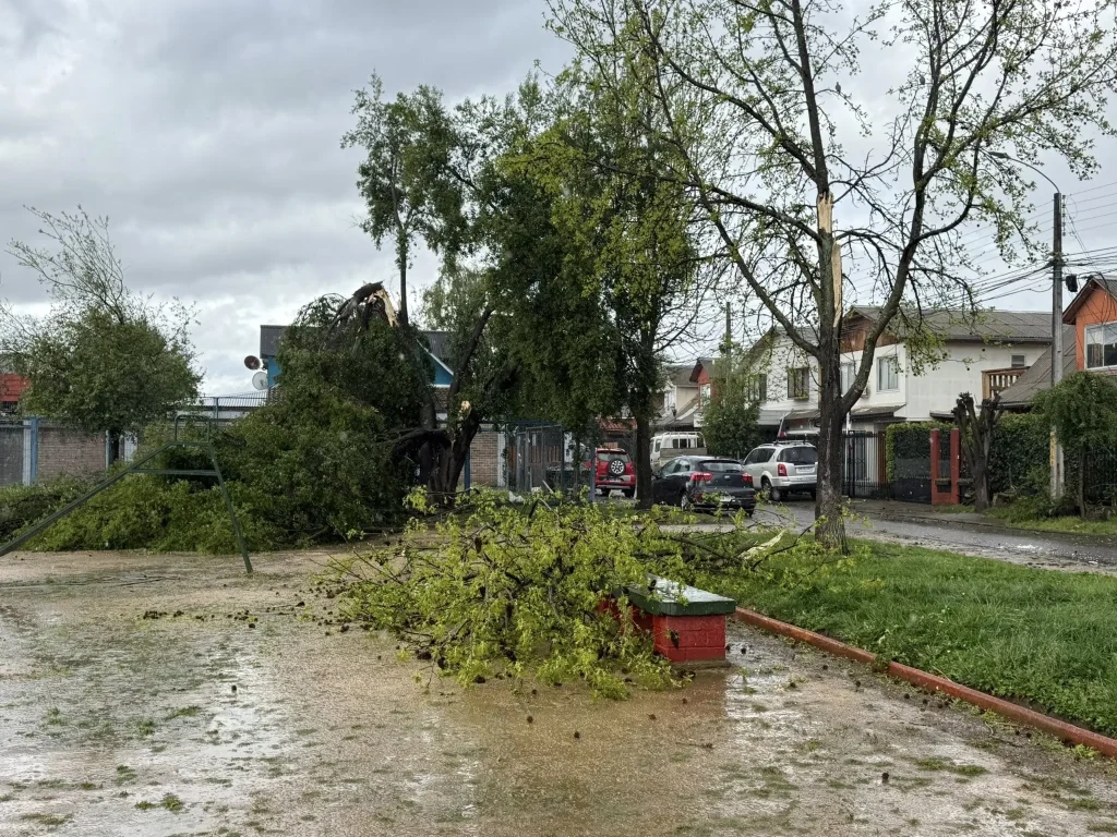 Tornado damage in Linares, Chile on September 20, 2025. Credit: Linares Municipalidad.