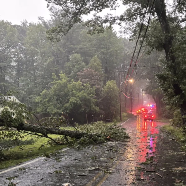 Tornado damage near Holden, Massachusetts on September 5, 2025. credit: Chat News Hub