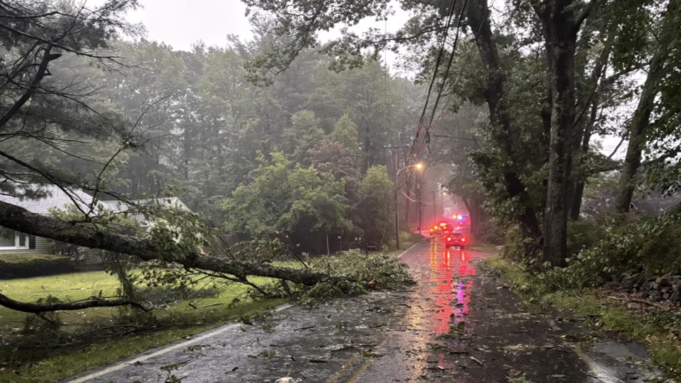 Tornado damage near Holden, Massachusetts on September 5, 2025. credit: Chat News Hub