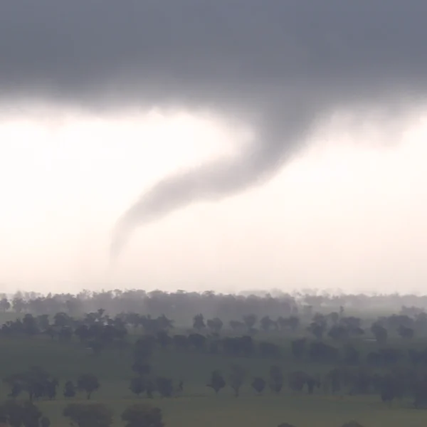 Tornado near Tubbul on September 10, 2025. Credit: NSW RFS