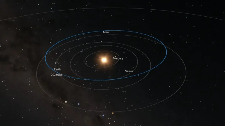 asteroid 2025 qd8