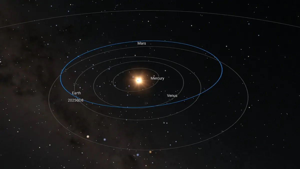 asteroid 2025 qd8