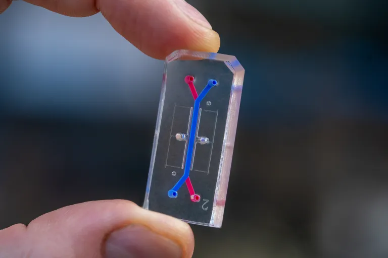 An organ chip for conducting bone marrow experiments in space.