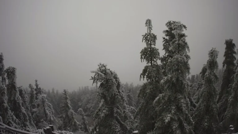 First snow fall of the season at Mount Mitchell, North Carolina on October 30, 2025. Credit