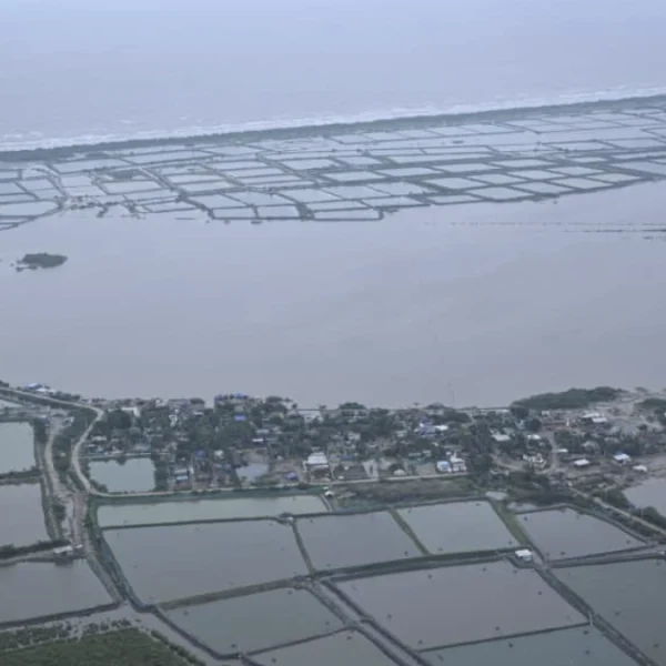 Flooded farmlands in Andhra Pradesh due to Cyclone Montha on October 29, 2025. Credit: CBNAgain