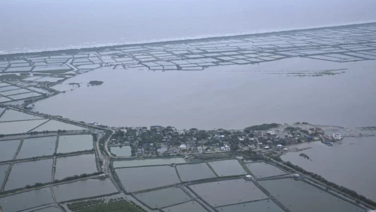 Flooded farmlands in Andhra Pradesh due to Cyclone Montha on October 29, 2025. Credit: CBNAgain