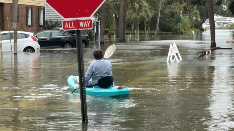 Flooding in Charleston South Carolina on October 11, 2025. Credit: Jonathan Petramala