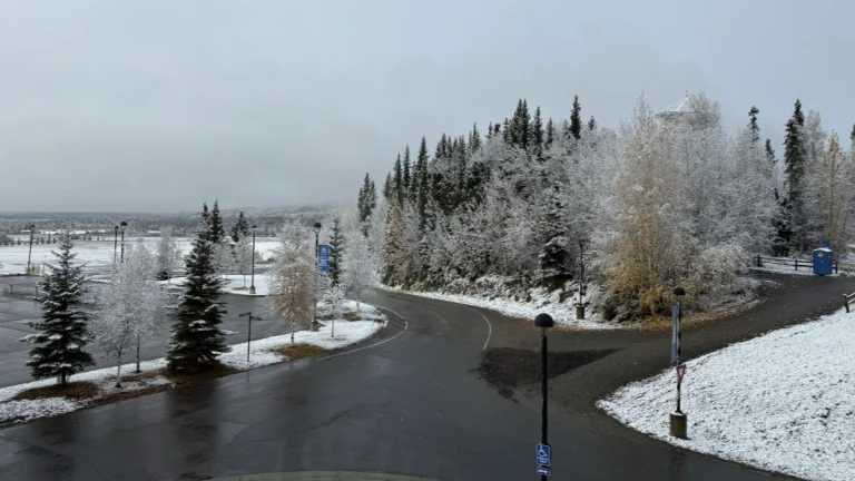 Snowfall in Alaska on September 29, 2025. Credit: NWS Fairbanks