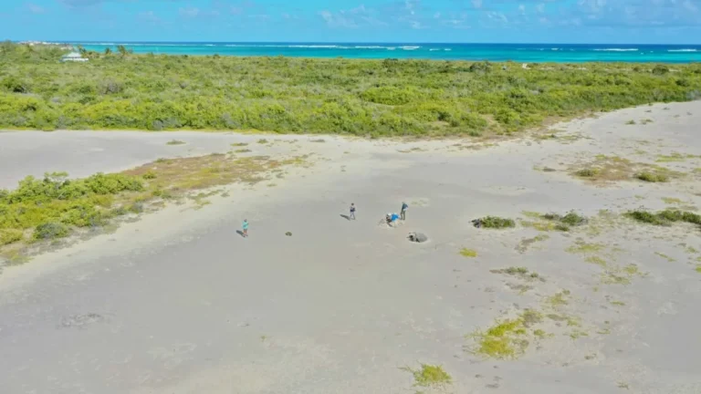 The tiny figures in this drone photo are standing near one of the stranded coral boulders