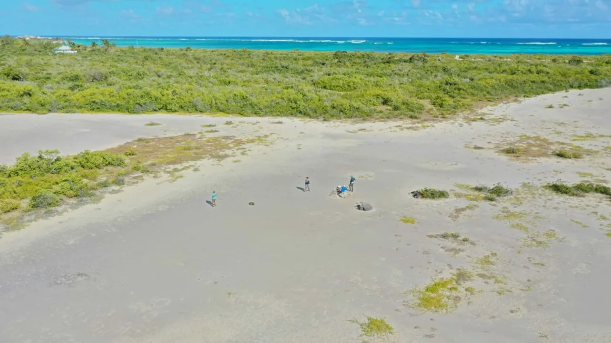 The tiny figures in this drone photo are standing near one of the stranded coral boulders