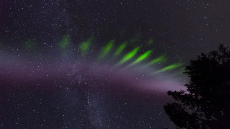 aurora picket fences