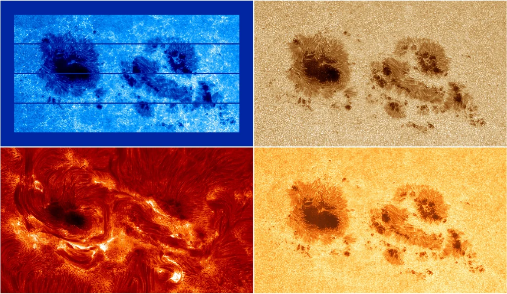 The mosaics of speckle-restored images have a combined FOV of 240″ × 150″ and shows active region NOAA 14274 at around 08:33 UT on 2025 November 10, about 30 minutes before an X1.2 flare began. The mosaics were created using four HiFI+ channels: Ca ii H λ396.8 nm, TiO λ705.8 nm, and broad- and narrow-band Hαλ656.3 nm (clockwise from the top-left panel). The FOV of the Ca ii H channel ( 48 .′′2 × 30 .′′ 8 ) is too small to overlap vertically (as shown by the horizontal blue lines in the Ca ii H panel), while the FOV of the other channels ( 76." 5 × 60."5 ) is much larger.Credit: Carsten Denker et al 2025 Res. Notes AAS 9 321