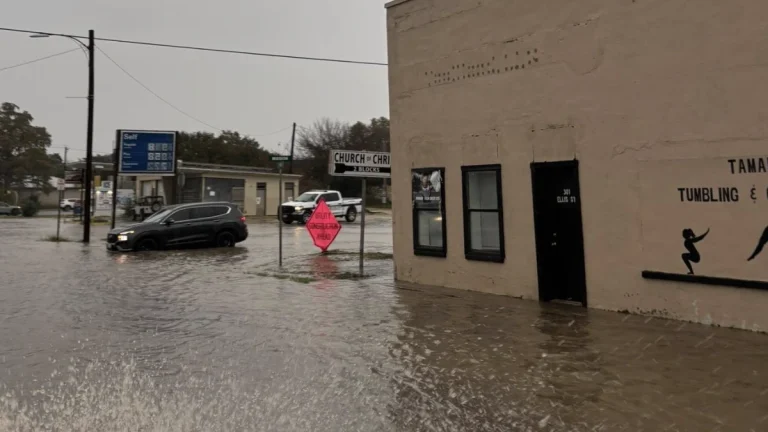 Flooding in Menard County after heavy rainfall through November 20, 2025. Credit: Brandon Corbin