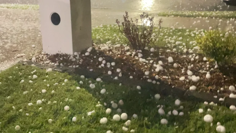 Giant hail in Queensland on November 24, 2025. Credit: neutralee2020