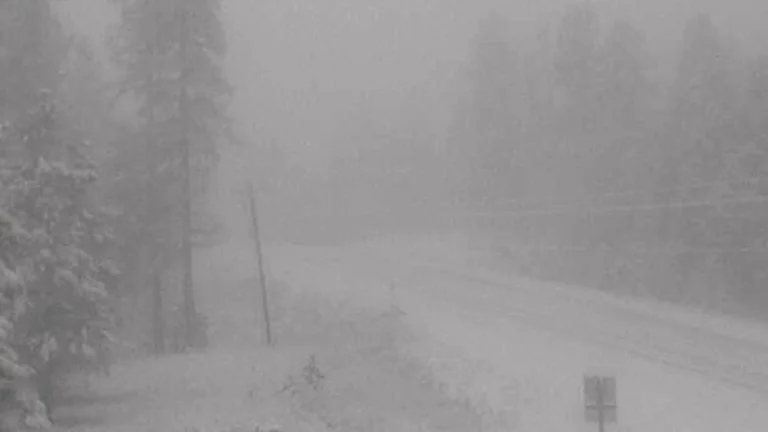 Heavy snowfall creates low visibility near Greenough, Montana on November 27, 2025. Credit: NWS