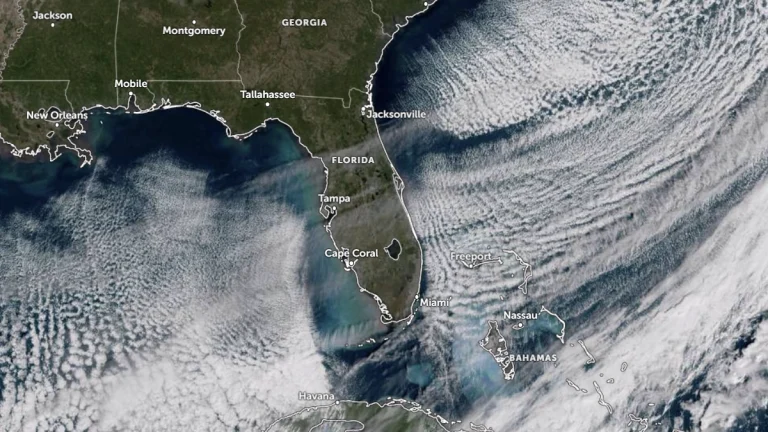 Satellite image of Florida at 1500 UTC on November 11, 2025. Credit: NOAA/GOES-19, Zoom Earth, The Watchers.