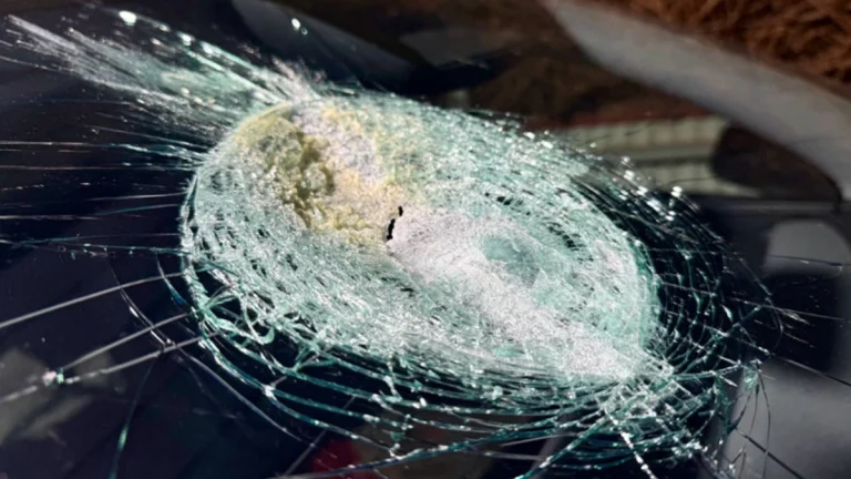 Impact crater left behind by potential meteor impact on a moving car in Australia. Credit: Andrew Melville-Smith/SA Museum
