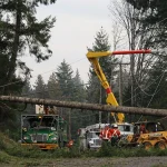 BC Hydro operatives repairing power lines in British Columbia on the morning of December 17, 2025, due to a major windstorm that struck the lower Mainland