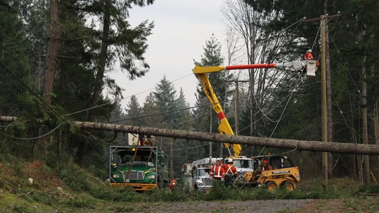 BC Hydro operatives repairing power lines in British Columbia on the morning of December 17, 2025, due to a major windstorm that struck the lower Mainland