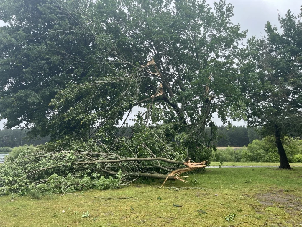 Damage caused by the Dudding Lake tornado in Manawatu, New Zealand on Decmeber 3, 2025. Credit: Rangitikei District Council