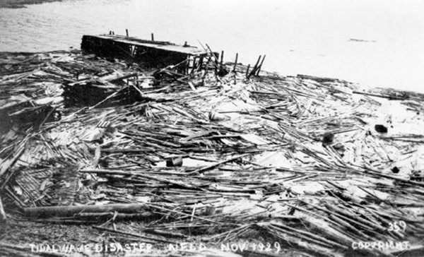 Destroyed remnants of coastal homes, businesses, wharfs and fishing gear