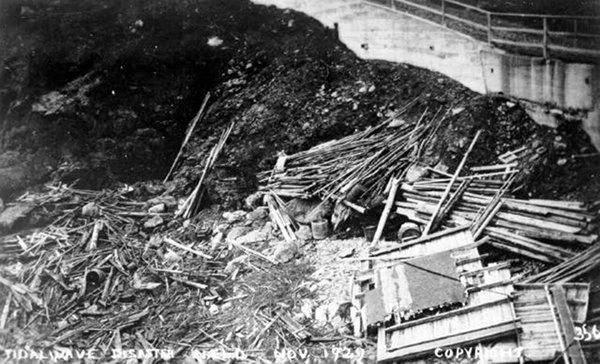 Destroyed remnants of coastal homes, businesses, wharfs and fishing gear