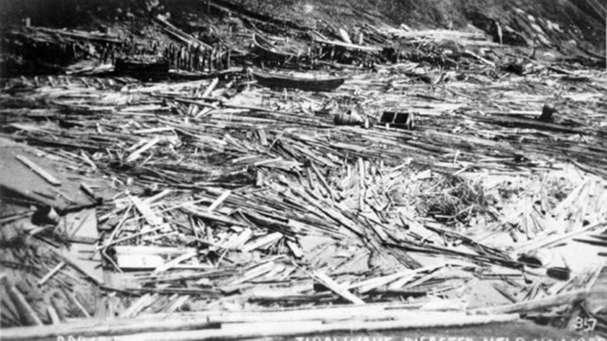 Destroyed remnants of coastal homes, businesses, wharfs and fishing gear