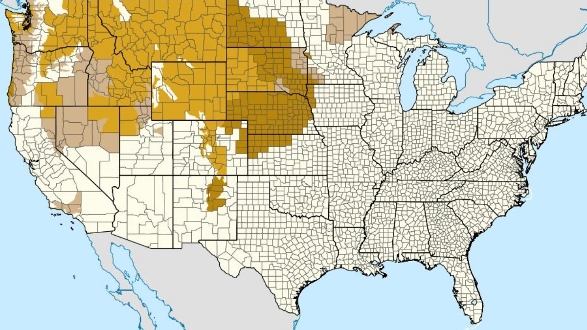 Map-of-High-Winds-Alerts-issued-across-north-western-and-central-USA-on-December-17-2025