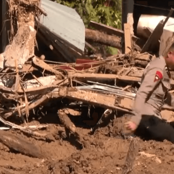 Relief operatives moving through debris left behind after Cyclone Ditwah on November 30, 2025. Credit: DDI stillshot