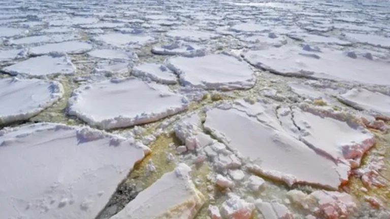 Severe weather encountered in the northern Ross Sea that temporarily delayed sampling of the AAR phytoplankton bloom in 2014 on board the research icebreaker Nathaniel B Palmer
