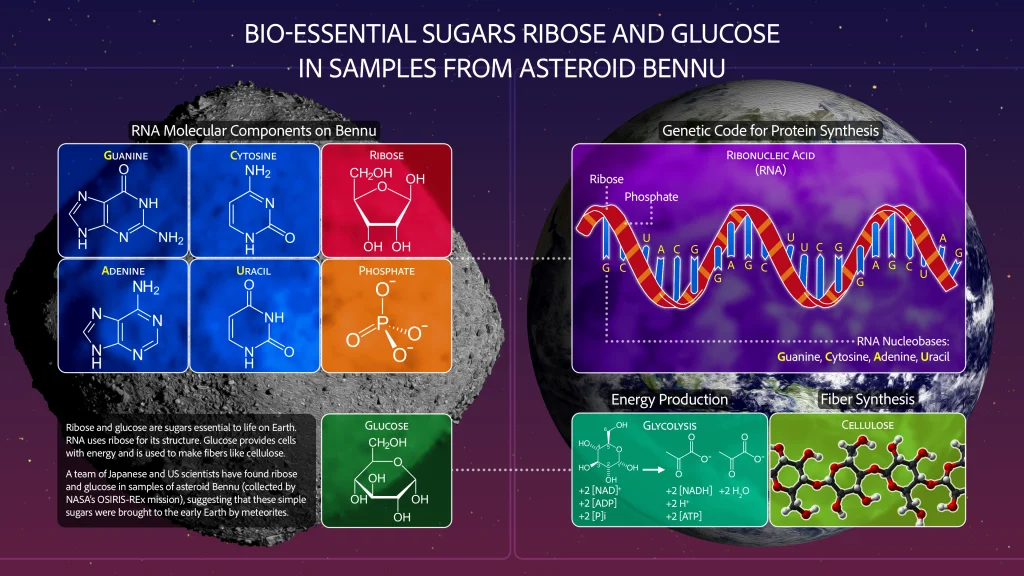 This finding builds on the earlier discovery of nucleobases (the genetic components of DNA and RNA), phosphate, and amino acids