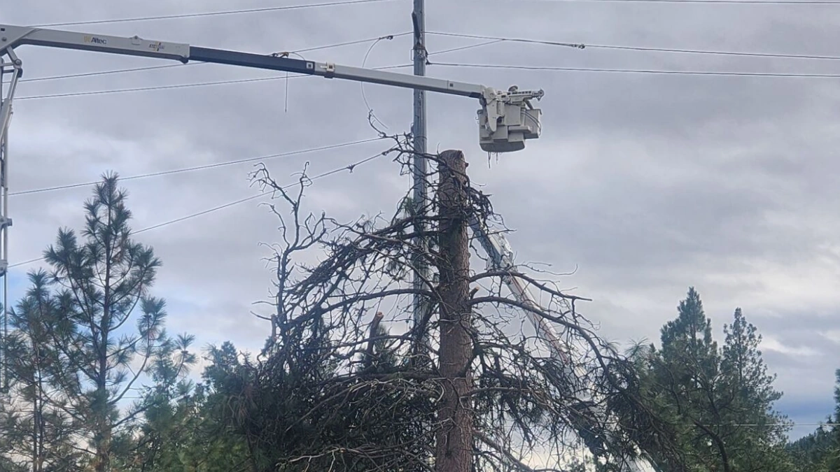 Tree and powerline damage near Leavenworth on December 12, 2025. Credit: Chelan County PUD