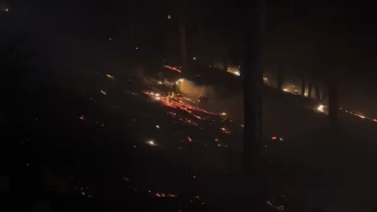 Wild Turkey fire in Boulder County, Colorado on December 22, 2025