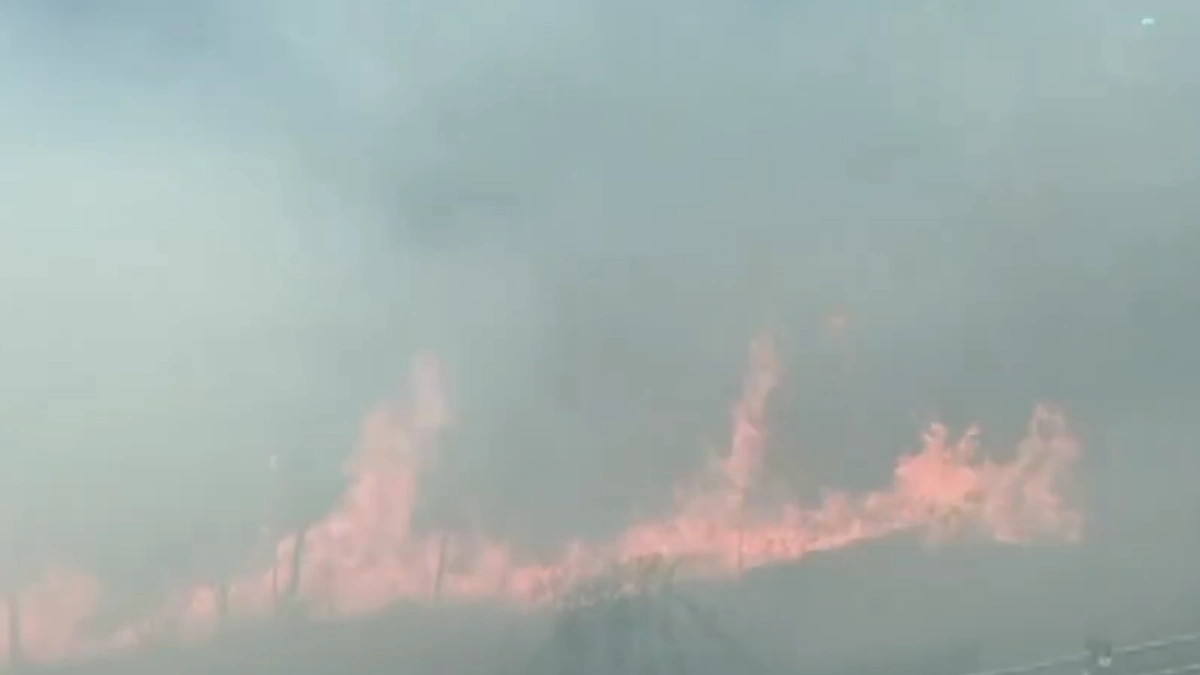 Wildfire in New South Wales, Australia on December 8, 2025. Credit: NSW RFSA