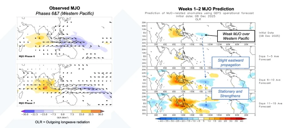 dynamic model mjo forecasts ncep sso init december 8 2025
