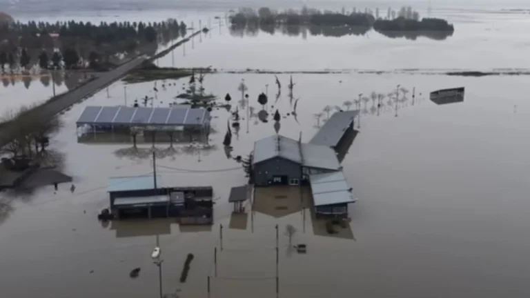 snohomish washington recor flood december 2025 lsm