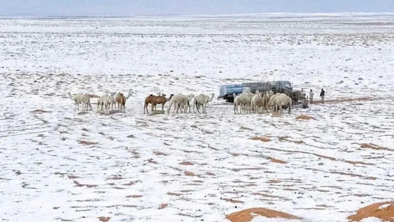 tabuk saudi arabia snow in december 2025