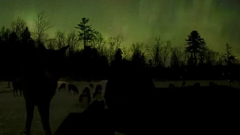 Aurora seen over USA on January 20 following G4 geomagnetic storm on January 19, 2026