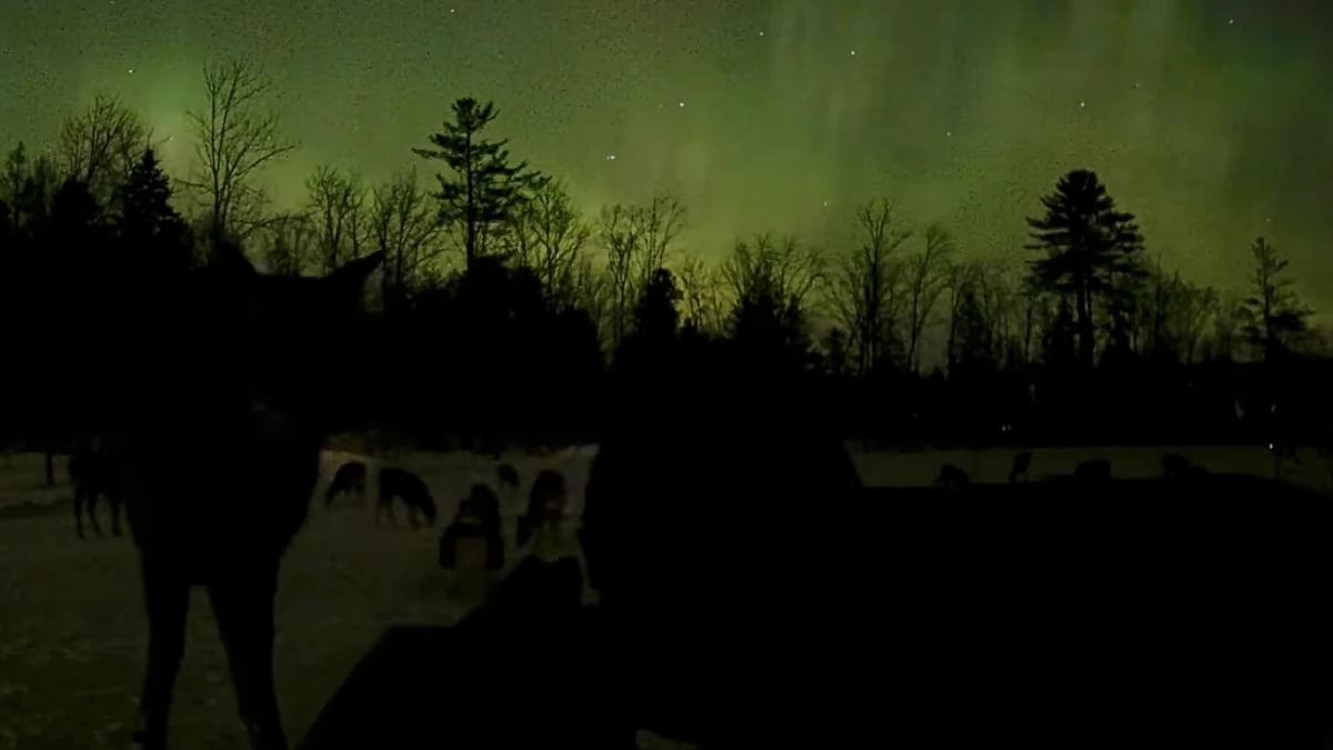 Aurora seen over USA on January 20 following G4 geomagnetic storm on January 19, 2026