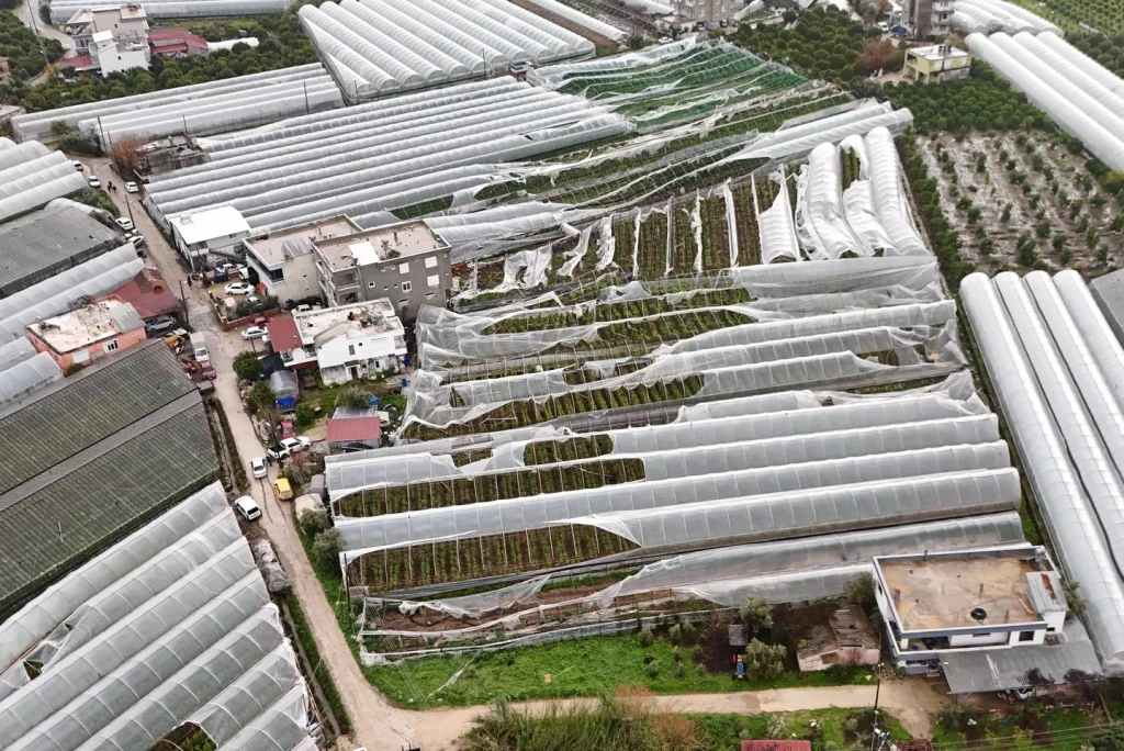 Damaged greenhouses in Antalya after tornadoes on Jnaury 26, 2026. Credit: Mustafa Geyikçi