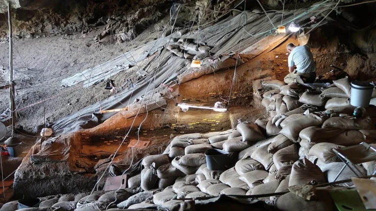 Excavations in South Africa’s Border Cave revealed many artifacts of Stone Age life including the remains of 200,000-year-old insect-repellant bedding