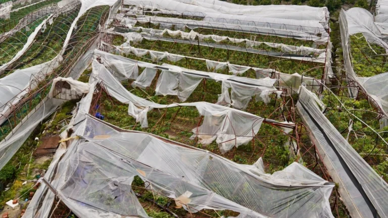 Damaged greenhouses in Antalya, Turkey after tornadoes on January 26, 2026. Credit: Mustafa Geyikçi