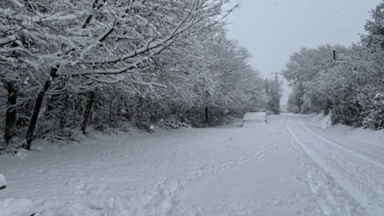 Heavy snow cover in France on January 6, 2026. Credit: Meteo France/infoclimat