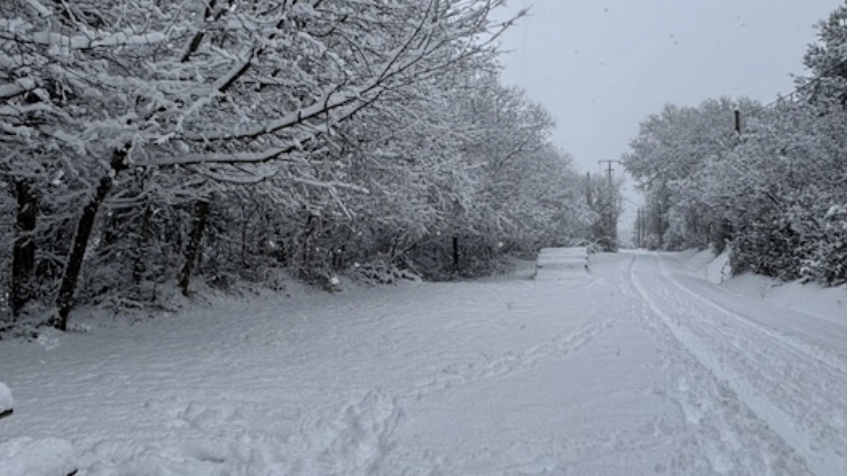 Heavy snow cover in France on January 6, 2026. Credit: Meteo France/infoclimat